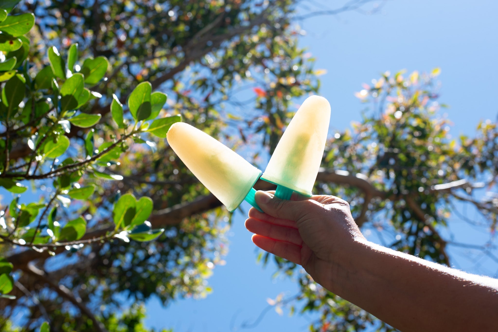 Kapow Tea Ice Block